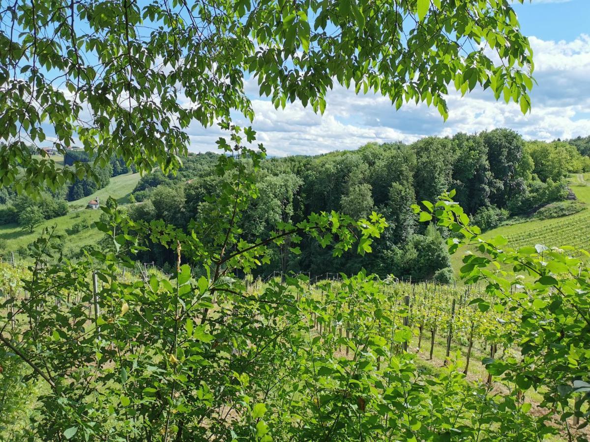 Villa Weingut Assigal Leibnitz Exterior foto
