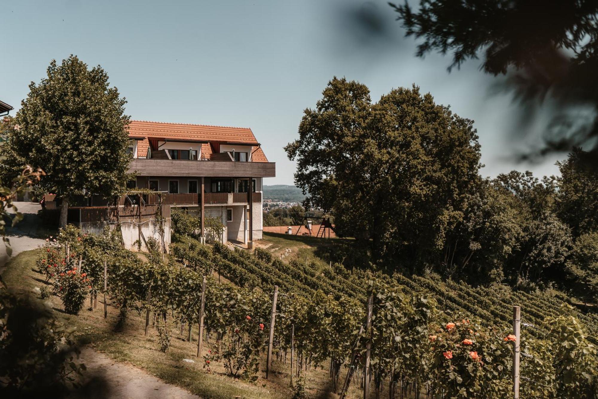 Villa Weingut Assigal Leibnitz Exterior foto