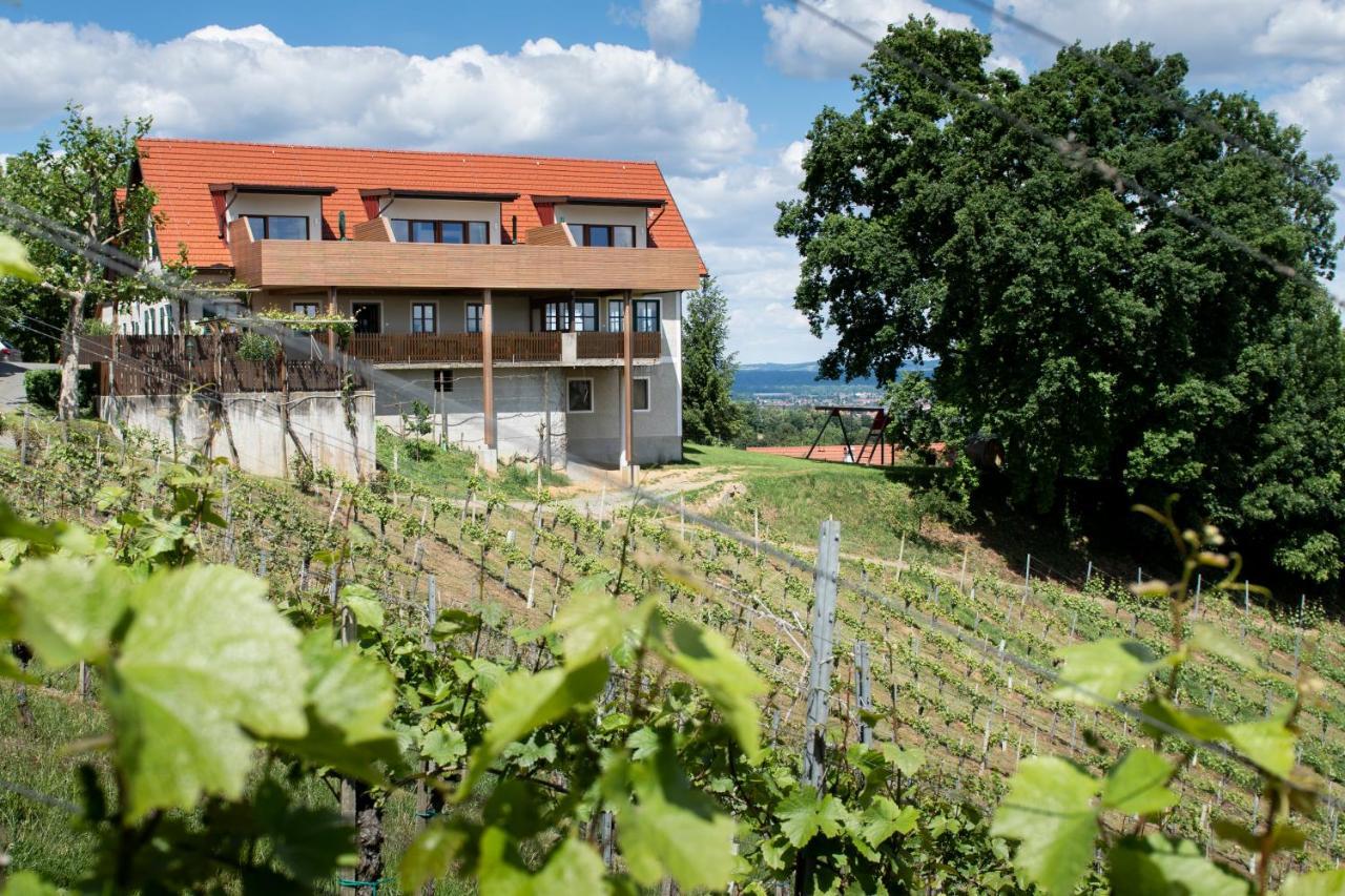 Villa Weingut Assigal Leibnitz Exterior foto